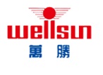 Zhejiang Wellsun